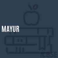 Mayur Middle School Logo