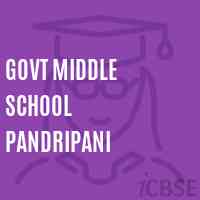 Govt Middle School Pandripani Logo