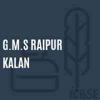 G.M.S Raipur Kalan Middle School Logo