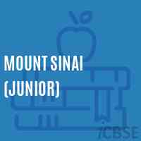 Mount Sinai (Junior) Middle School Logo