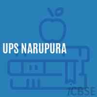 Ups Narupura Middle School Logo
