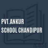 Pvt.Ankur School Chandipur Logo