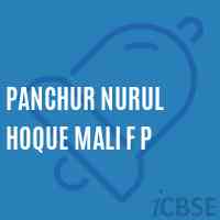 Panchur Nurul Hoque Mali F P Primary School Logo