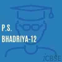 P.S. Bhadriya-12 Primary School Logo