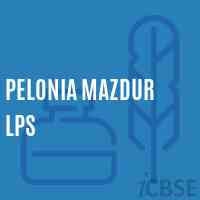 Pelonia Mazdur Lps Primary School Logo