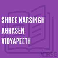 Shree Narsingh Agrasen Vidyapeeth School Logo
