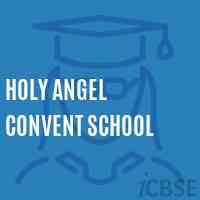 Holy Angel Convent School Logo