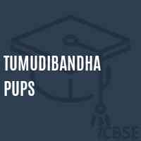 Tumudibandha Pups Middle School Logo