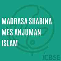 Madrasa Shabina Mes Anjuman Islam Primary School Logo