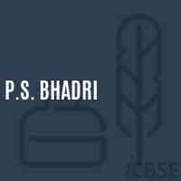 P.S. Bhadri Primary School Logo