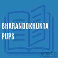 Bharandokhunta Pups Middle School Logo