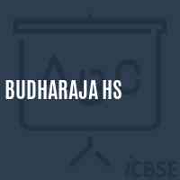 Budharaja Hs School Logo