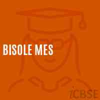 Bisole Mes Middle School Logo