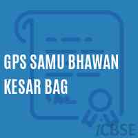 Gps Samu Bhawan Kesar Bag Primary School Logo