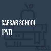 Caesar School (Pvt) Logo