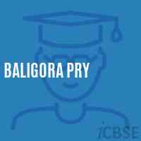 Baligora Pry Primary School Logo