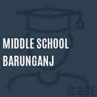 Middle School Barunganj Logo