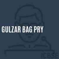 Gulzar Bag Pry Primary School Logo