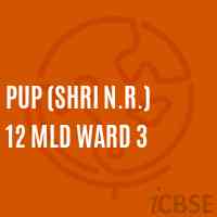 Pup (Shri N.R.) 12 Mld Ward 3 Middle School Logo