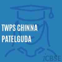 Twps Chinna Patelguda School Logo
