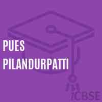 Pues Pilandurpatti Primary School Logo