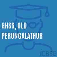 GHSS, old Perungalathur High School Logo