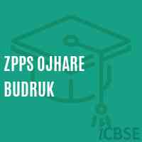 Zpps Ojhare Budruk Middle School Logo