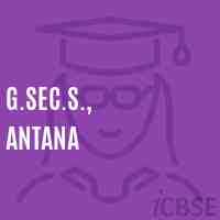 G.Sec.S., Antana Secondary School Logo