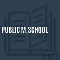 Public M.School Logo