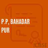 P.P, Bahadar Pur Primary School Logo