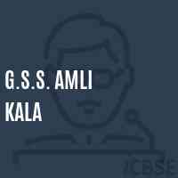 G.S.S. Amli Kala Secondary School Logo