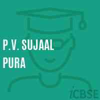 P.V. Sujaal Pura Primary School Logo