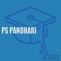 Ps Pandhari Primary School Logo