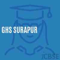 Ghs Surapur Secondary School Logo