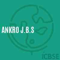 Ankro J.B.S Primary School Logo