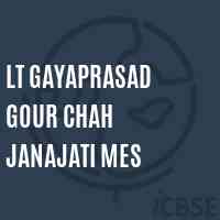 Lt Gayaprasad Gour Chah Janajati Mes Middle School Logo