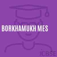 Borkhamukh Mes Middle School Logo