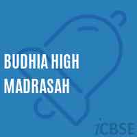Budhia High Madrasah High School Logo
