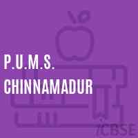 P.U.M.S. Chinnamadur Middle School Logo