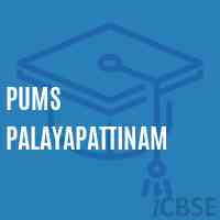 Pums Palayapattinam Middle School Logo