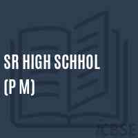 Sr High Schhol (P M) Primary School Logo