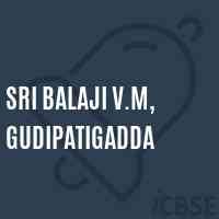 Sri Balaji V.M, Gudipatigadda Secondary School Logo