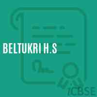 Beltukri H.S Secondary School Logo
