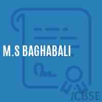 M.S Baghabali Middle School Logo