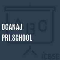 Oganaj Pri.School Logo
