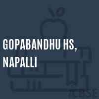 Gopabandhu Hs, Napalli School Logo