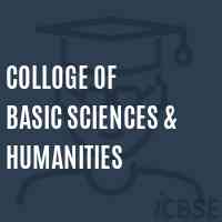 Colloge of Basic Sciences & Humanities College Logo
