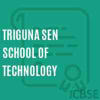 Triguna Sen School of Technology Logo