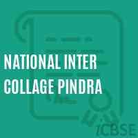 National Inter Collage Pindra High School Logo