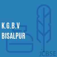 K.G.B.V Bisalpur Middle School Logo